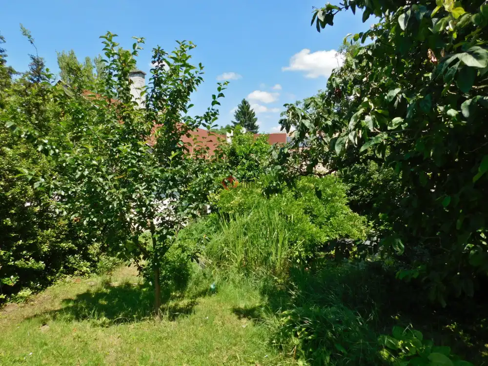 Nógrád megye - Diósjenő