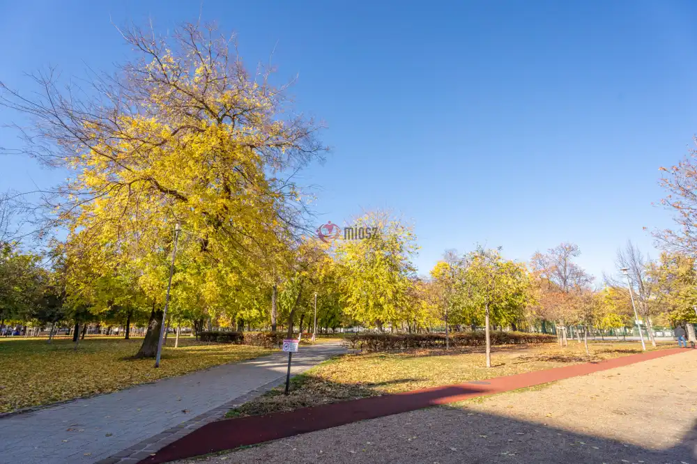 Budapest, VIII. kerület - Népszínház negyed